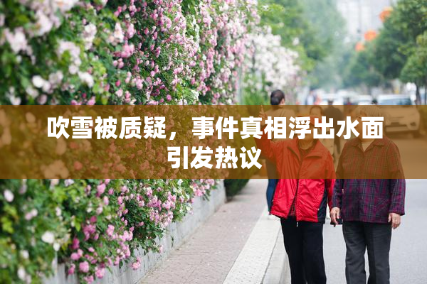 吹雪被质疑，事件真相浮出水面引发热议