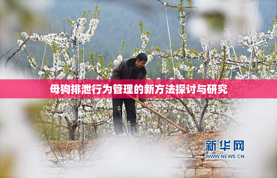 母狗排泄行为管理的新方法探讨与研究