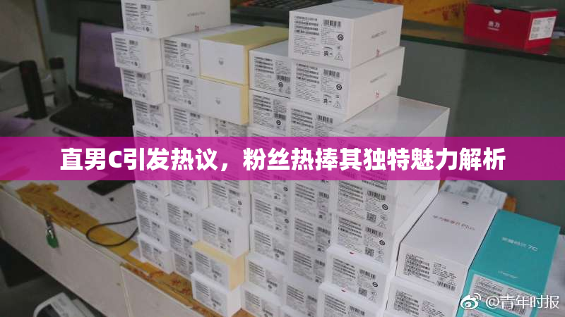 直男C引发热议，粉丝热捧其独特魅力解析