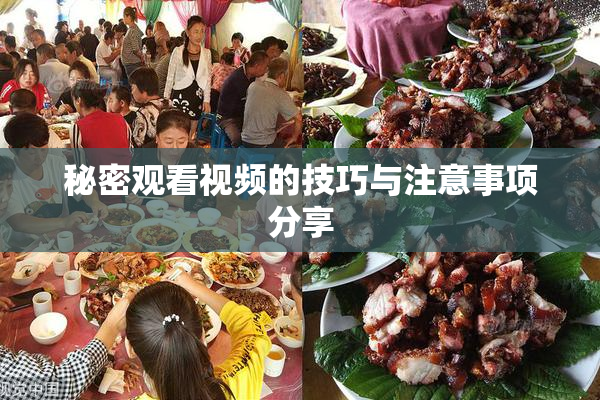 秘密观看视频的技巧与注意事项分享