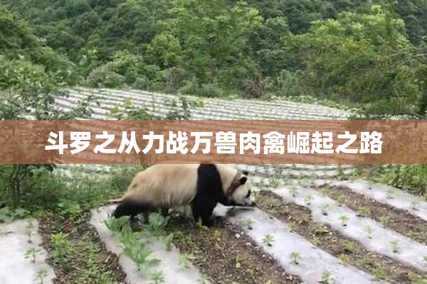 斗罗之从力战万兽肉禽崛起之路