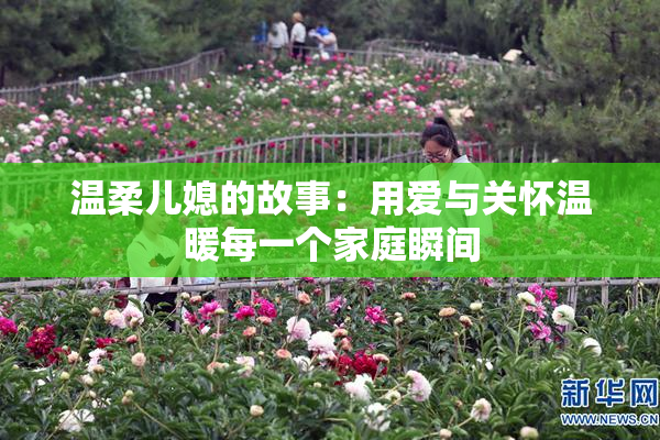温柔儿媳的故事：用爱与关怀温暖每一个家庭瞬间