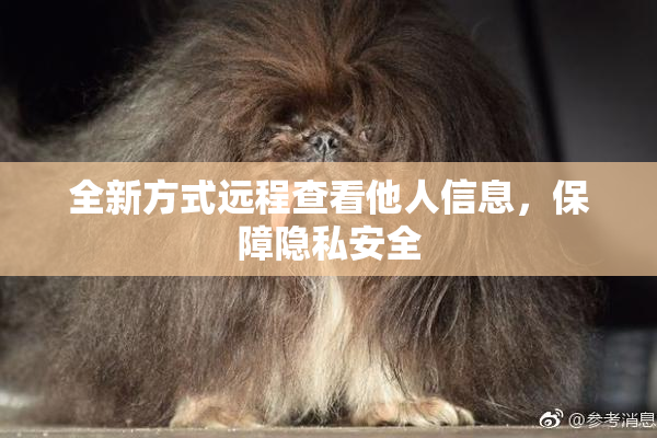 全新方式远程查看他人信息，保障隐私安全