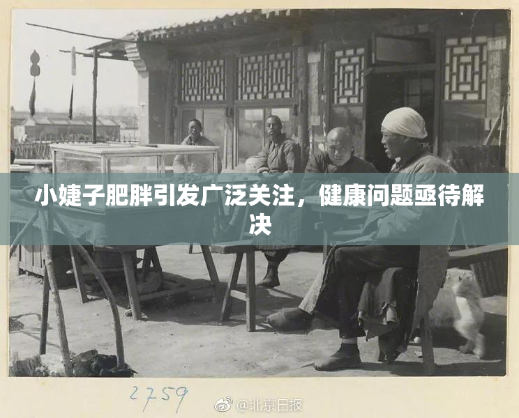 小婕子肥胖引发广泛关注，健康问题亟待解决