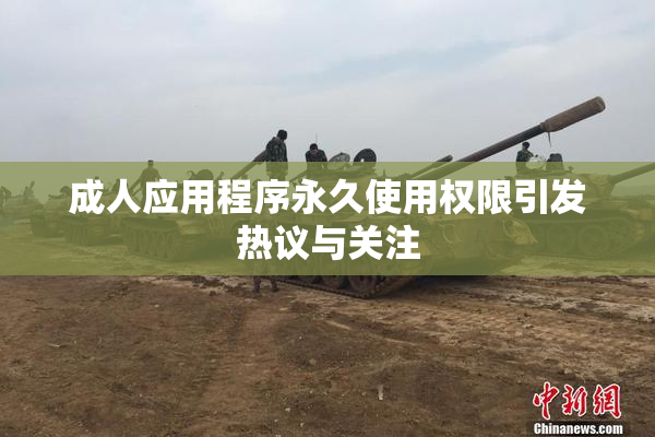 成人应用程序永久使用权限引发热议与关注