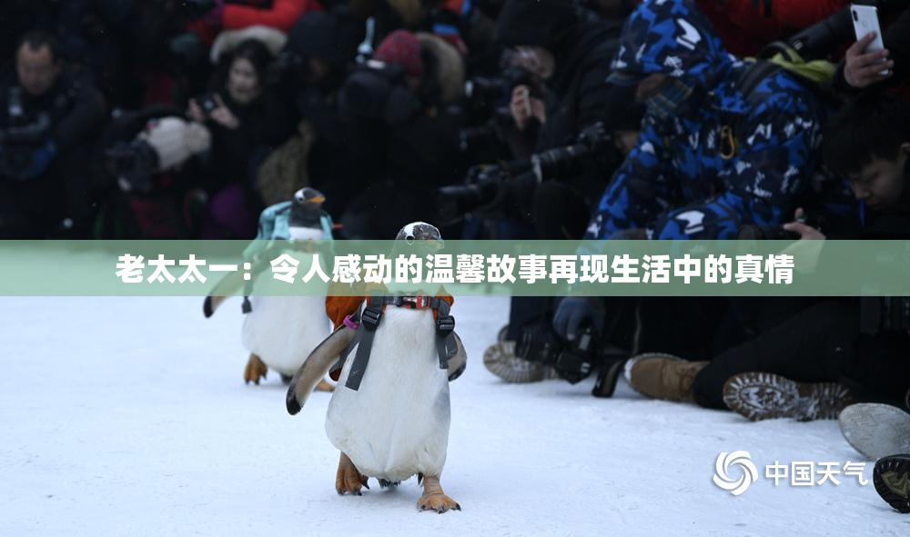老太太一：令人感动的温馨故事再现生活中的真情