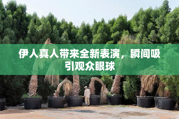 伊人真人带来全新表演，瞬间吸引观众眼球
