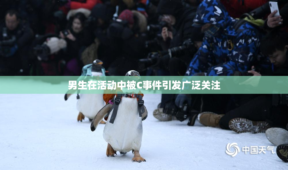 男生在活动中被C事件引发广泛关注