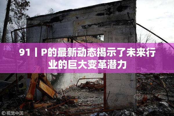 91丨P的最新动态揭示了未来行业的巨大变革潜力