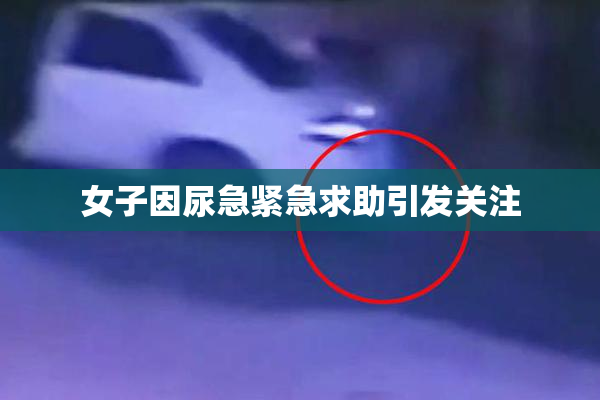 女子因尿急紧急求助引发关注