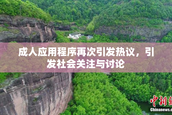 成人应用程序再次引发热议，引发社会关注与讨论