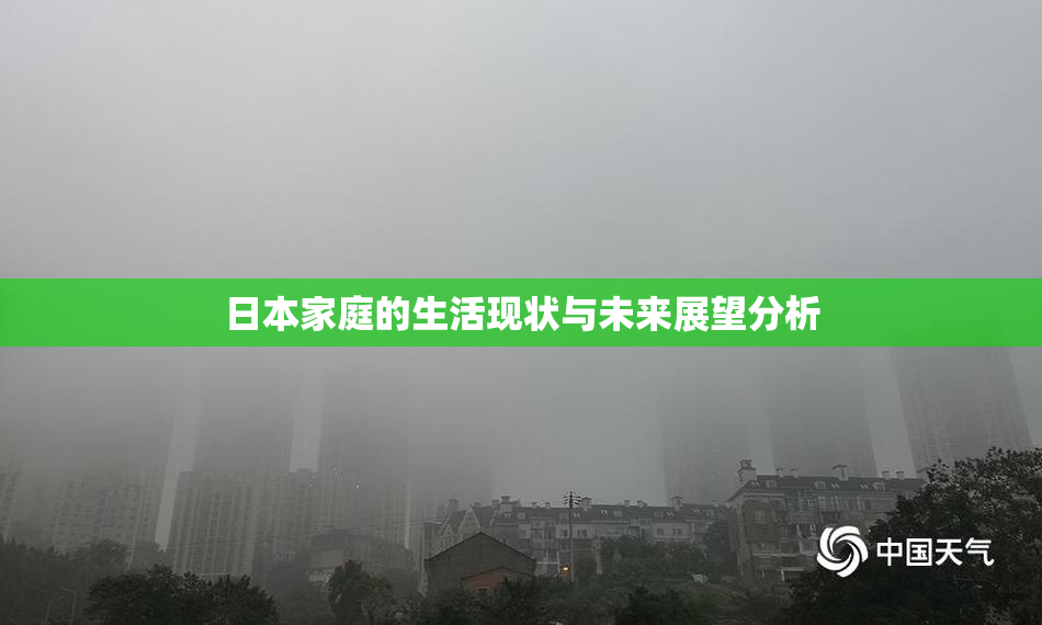 日本家庭的生活现状与未来展望分析