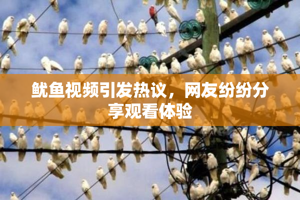 鱿鱼视频引发热议，网友纷纷分享观看体验