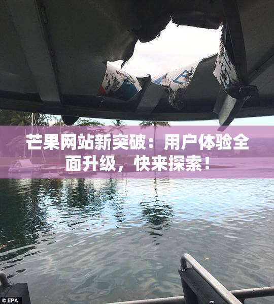 芒果网站新突破：用户体验全面升级，快来探索！