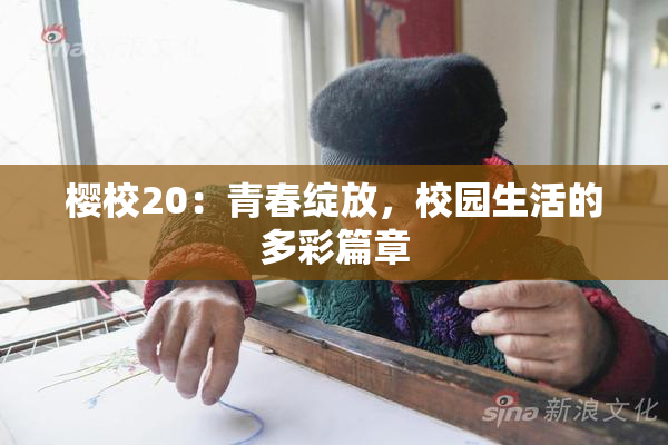 樱校20：青春绽放，校园生活的多彩篇章
