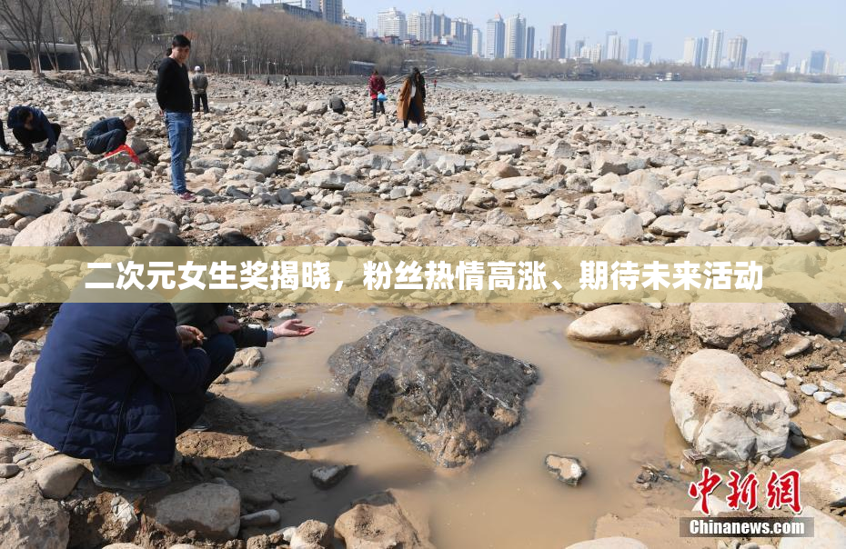 二次元女生奖揭晓，粉丝热情高涨、期待未来活动