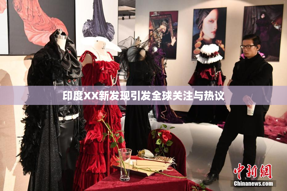 印度XX新发现引发全球关注与热议