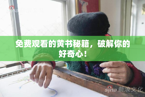 免费观看的黄书秘籍，破解你的好奇心！