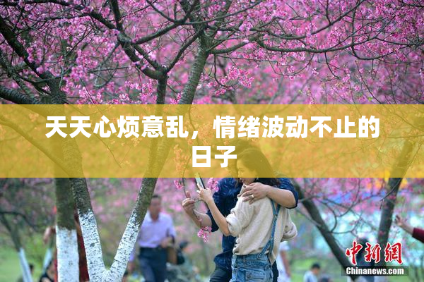 天天心烦意乱，情绪波动不止的日子