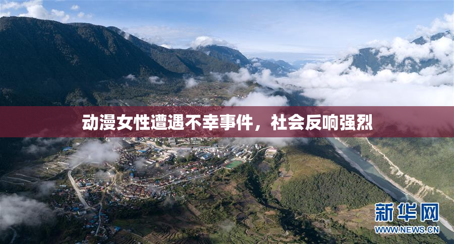 动漫女性遭遇不幸事件，社会反响强烈