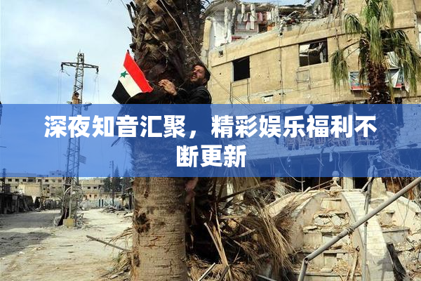 深夜知音汇聚，精彩娱乐福利不断更新