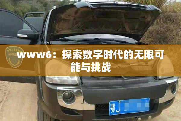 www6：探索数字时代的无限可能与挑战