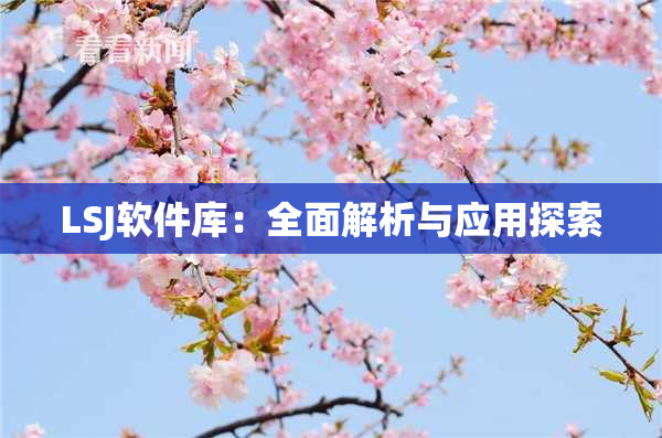 LSJ软件库：全面解析与应用探索