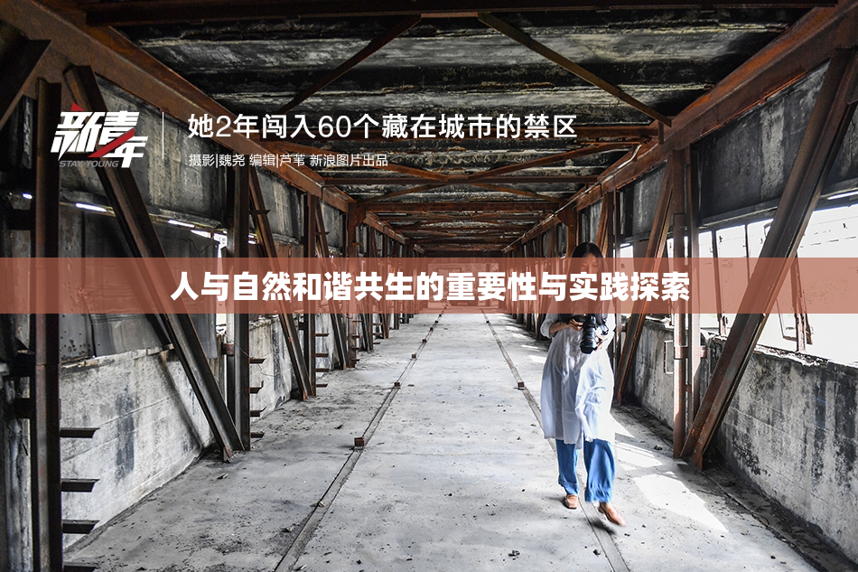 人与自然和谐共生的重要性与实践探索