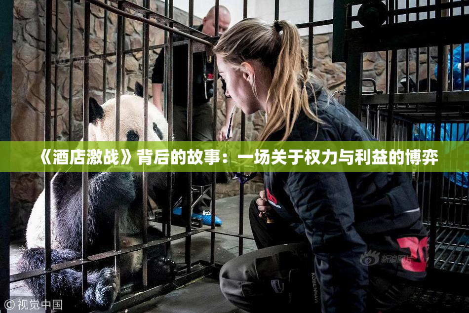 《酒店激战》背后的故事：一场关于权力与利益的博弈