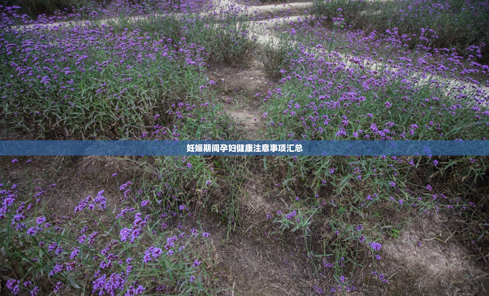 妊娠期间孕妇健康注意事项汇总