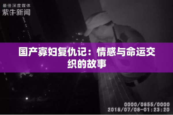 国产寡妇复仇记：情感与命运交织的故事