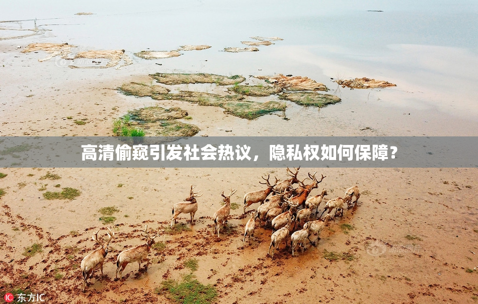 高清偷窥引发社会热议，隐私权如何保障？