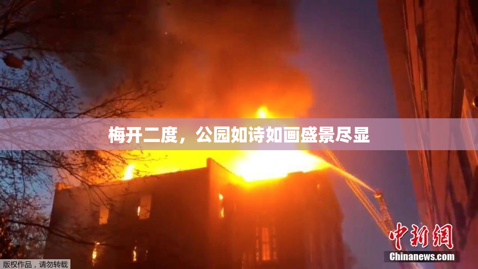 梅开二度，公园如诗如画盛景尽显