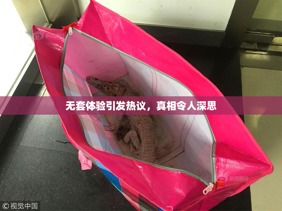 无套体验引发热议，真相令人深思