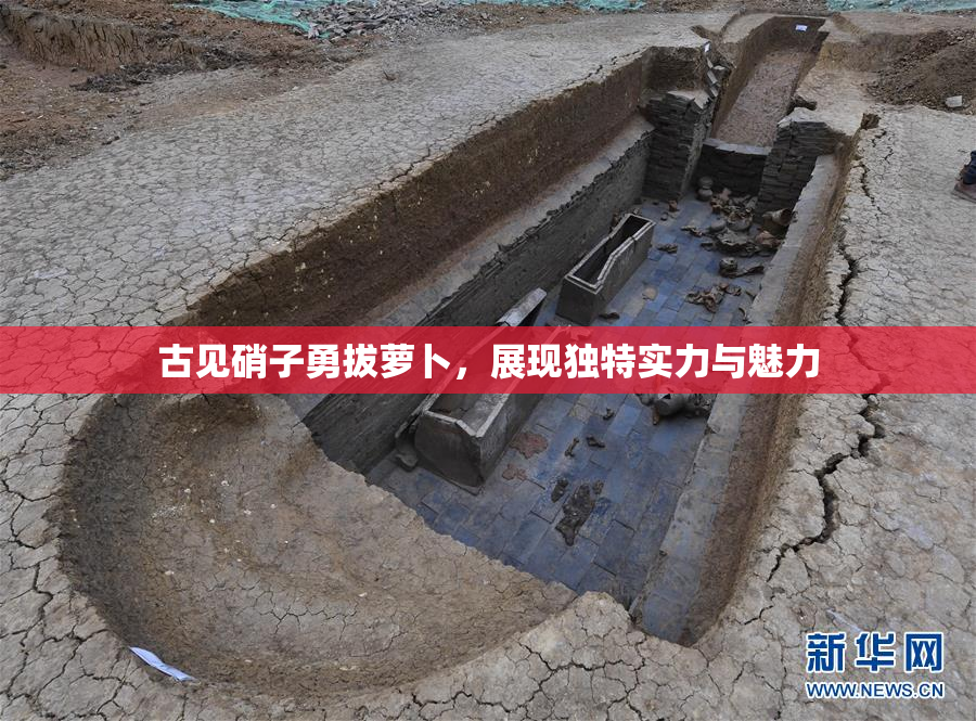 古见硝子勇拔萝卜，展现独特实力与魅力