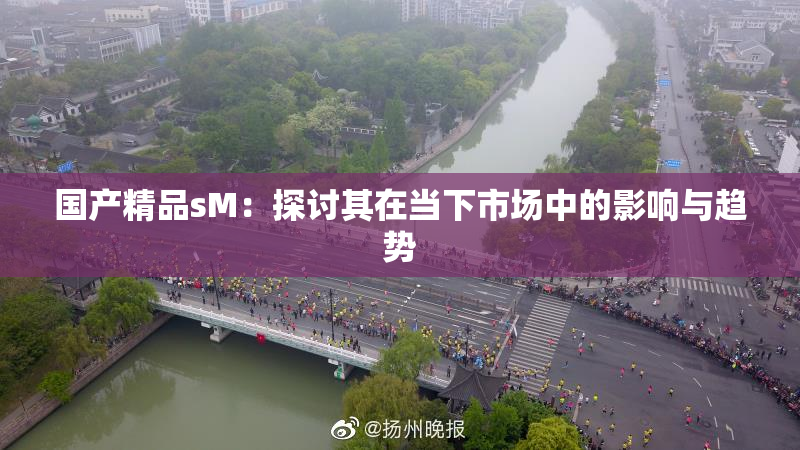 国产精品sM：探讨其在当下市场中的影响与趋势