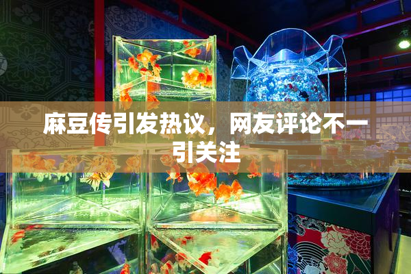 麻豆传引发热议，网友评论不一引关注