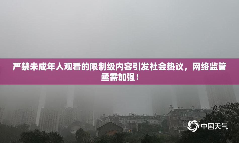 严禁未成年人观看的限制级内容引发社会热议，网络监管亟需加强！