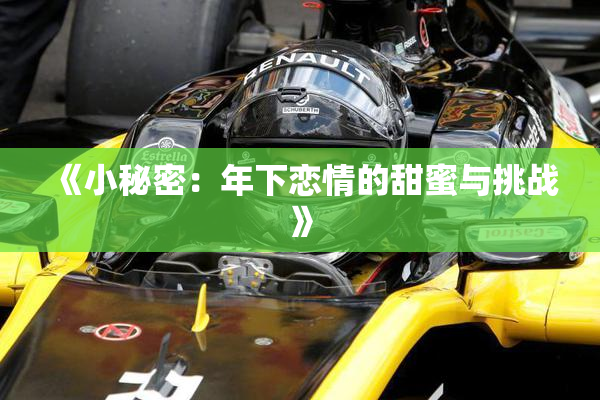 《小秘密：年下恋情的甜蜜与挑战》