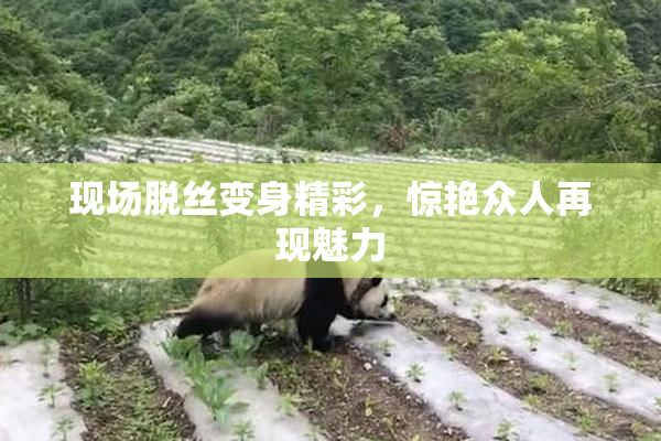 现场脱丝变身精彩，惊艳众人再现魅力