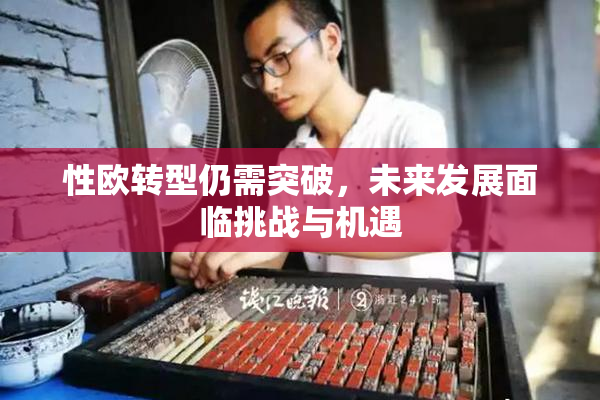 性欧转型仍需突破，未来发展面临挑战与机遇
