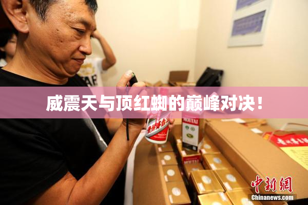 威震天与顶红蜘的巅峰对决！
