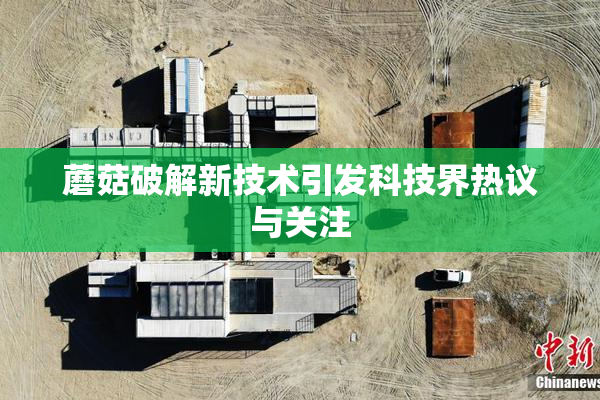 蘑菇破解新技术引发科技界热议与关注