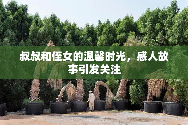 叔叔和侄女的温馨时光，感人故事引发关注