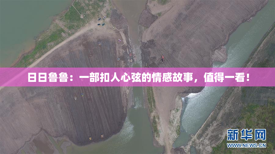 日日鲁鲁：一部扣人心弦的情感故事，值得一看！