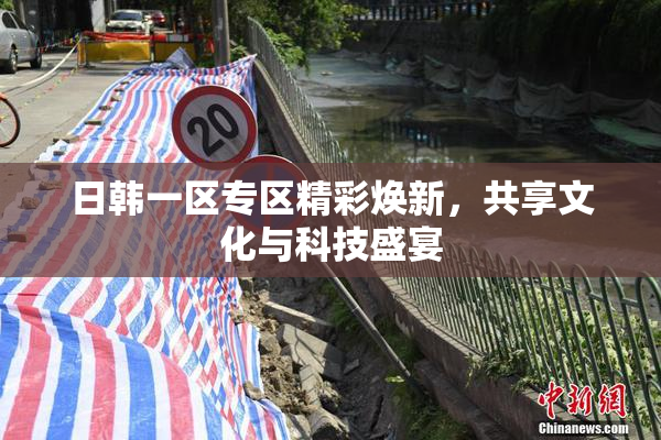 日韩一区专区精彩焕新，共享文化与科技盛宴