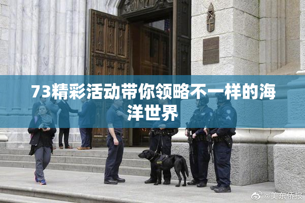 73精彩活动带你领略不一样的海洋世界