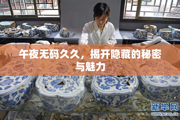 午夜无码久久，揭开隐藏的秘密与魅力