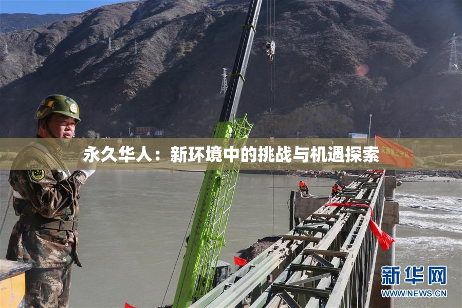 永久华人：新环境中的挑战与机遇探索