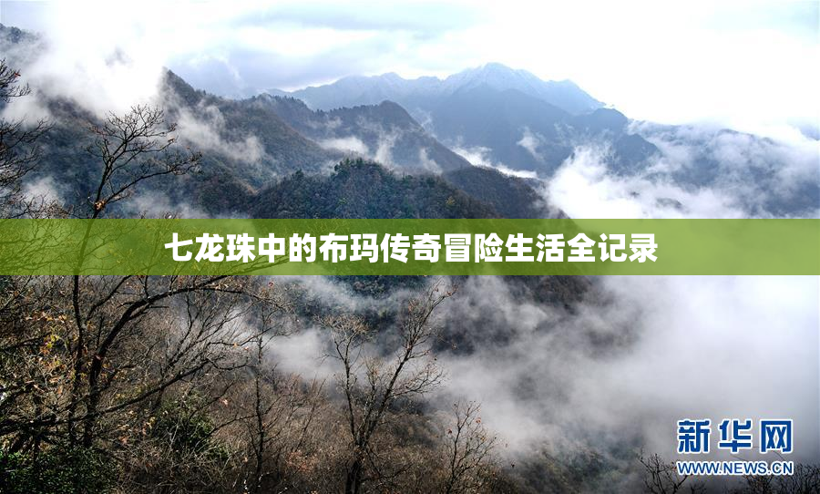 七龙珠中的布玛传奇冒险生活全记录